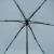 26409_3_g.jpg