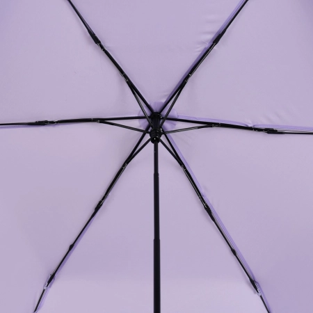 26409_2_g.jpg