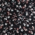 21835_1_f.jpg