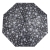 Art.12347_2_6.jpg