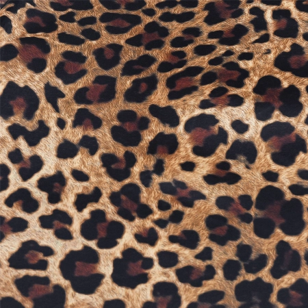 26495_2_i.jpg
