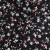 21835_1_f.jpg